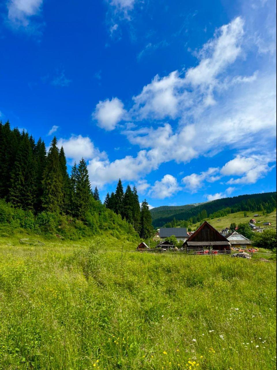 Girskiy Prutets Bukovel Exterior foto